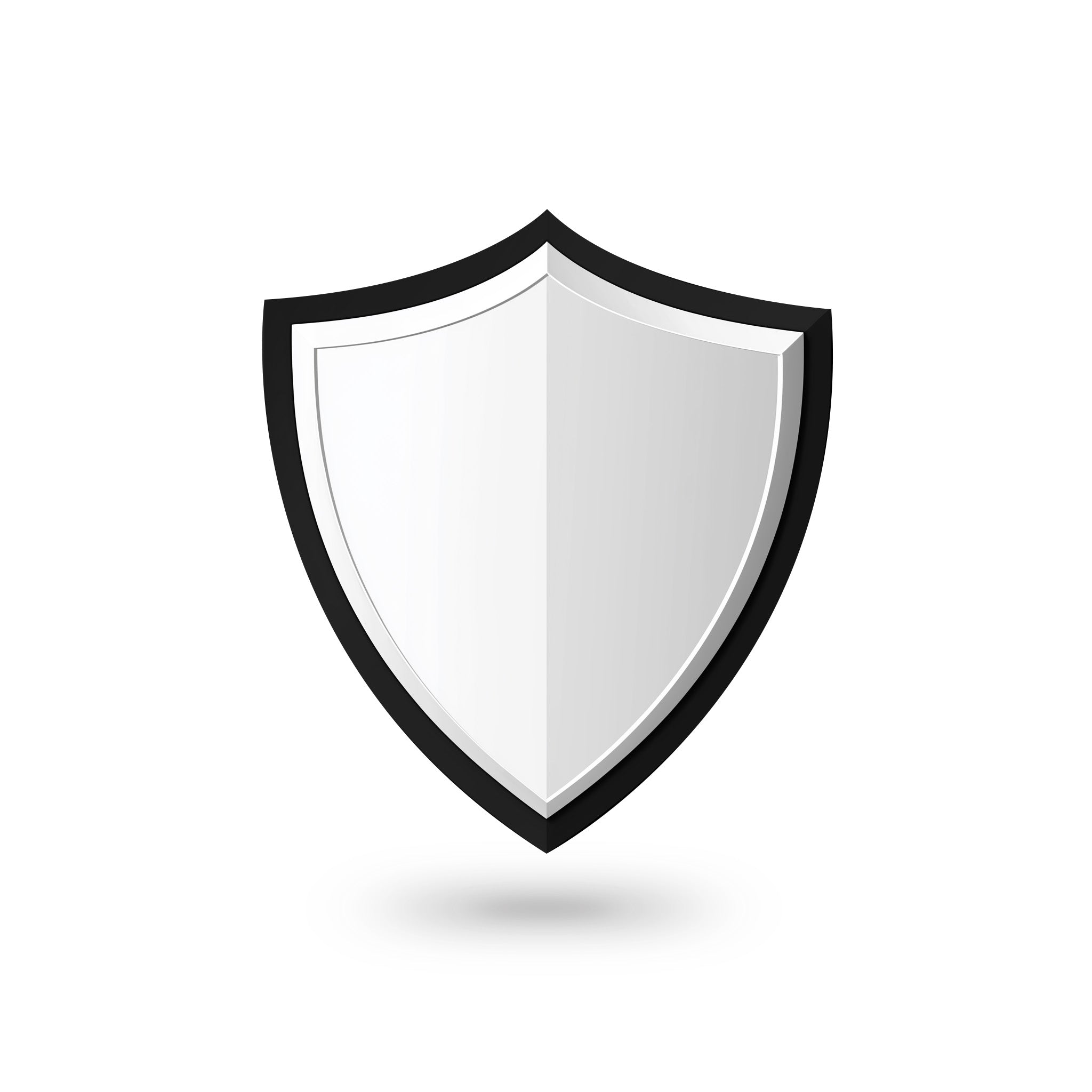 Shield icon representing security and protection, symbolizing the safe storage of items during the loan period.